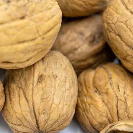 گردو مرغوب خرید به صرفه